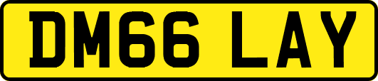 DM66LAY