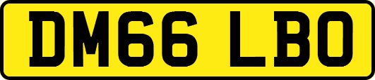 DM66LBO