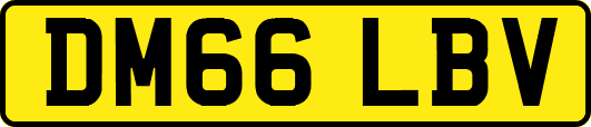DM66LBV