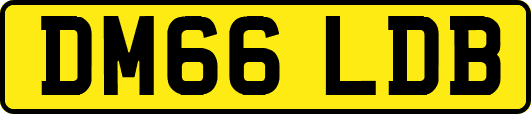 DM66LDB