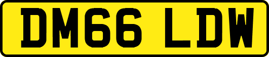 DM66LDW