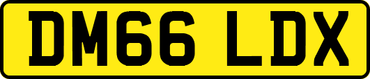 DM66LDX
