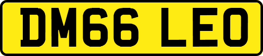 DM66LEO