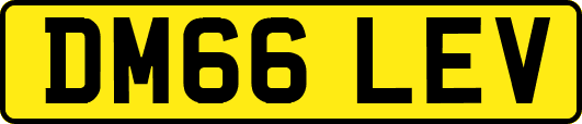 DM66LEV