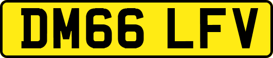 DM66LFV