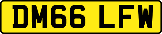 DM66LFW