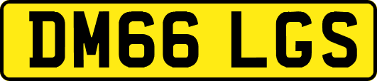 DM66LGS