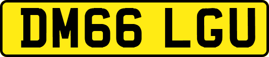 DM66LGU