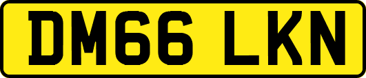 DM66LKN