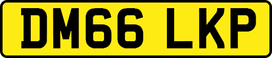 DM66LKP