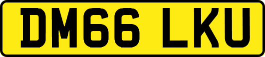 DM66LKU