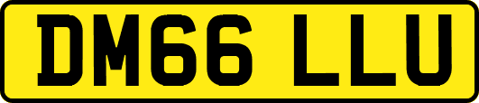 DM66LLU