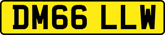 DM66LLW