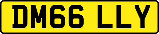 DM66LLY