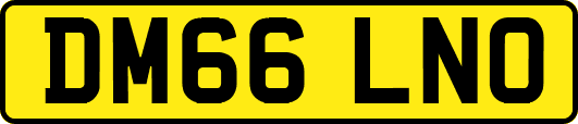 DM66LNO