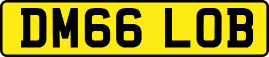 DM66LOB