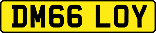 DM66LOY