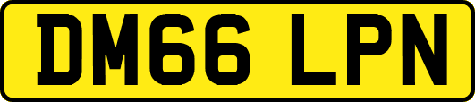 DM66LPN