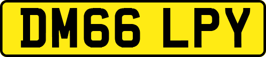 DM66LPY
