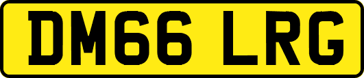 DM66LRG