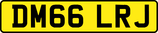 DM66LRJ