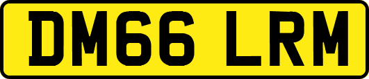 DM66LRM