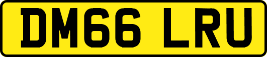 DM66LRU