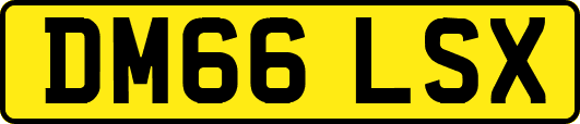 DM66LSX