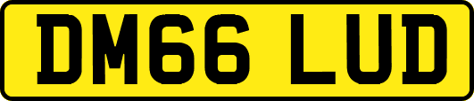 DM66LUD