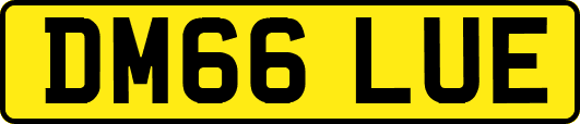 DM66LUE