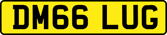 DM66LUG
