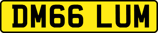 DM66LUM