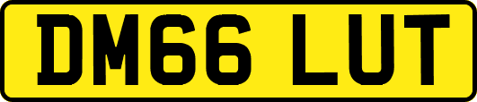 DM66LUT