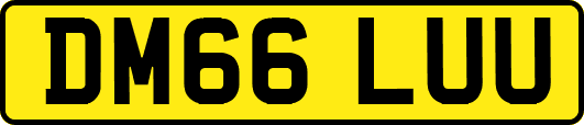 DM66LUU