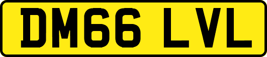 DM66LVL