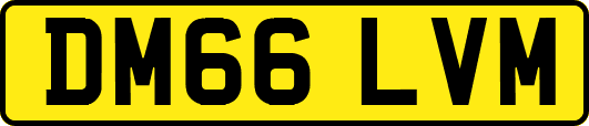 DM66LVM