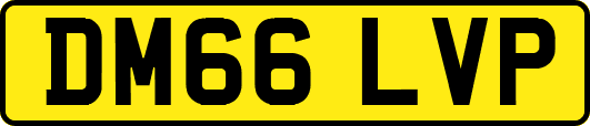 DM66LVP