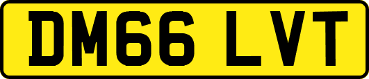 DM66LVT