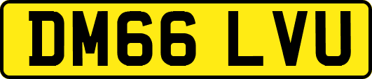 DM66LVU