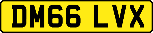 DM66LVX
