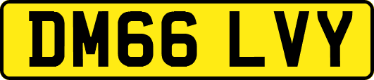 DM66LVY