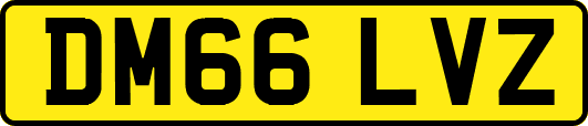 DM66LVZ