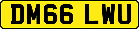DM66LWU
