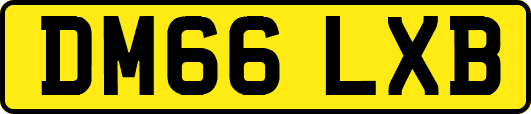 DM66LXB