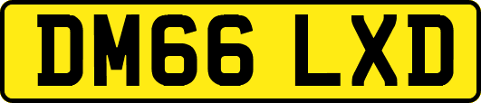 DM66LXD