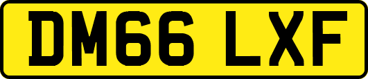 DM66LXF