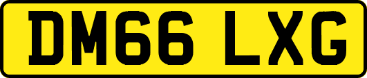 DM66LXG