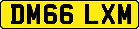 DM66LXM