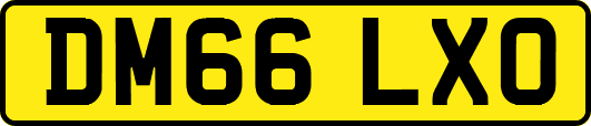 DM66LXO