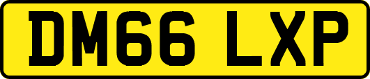 DM66LXP